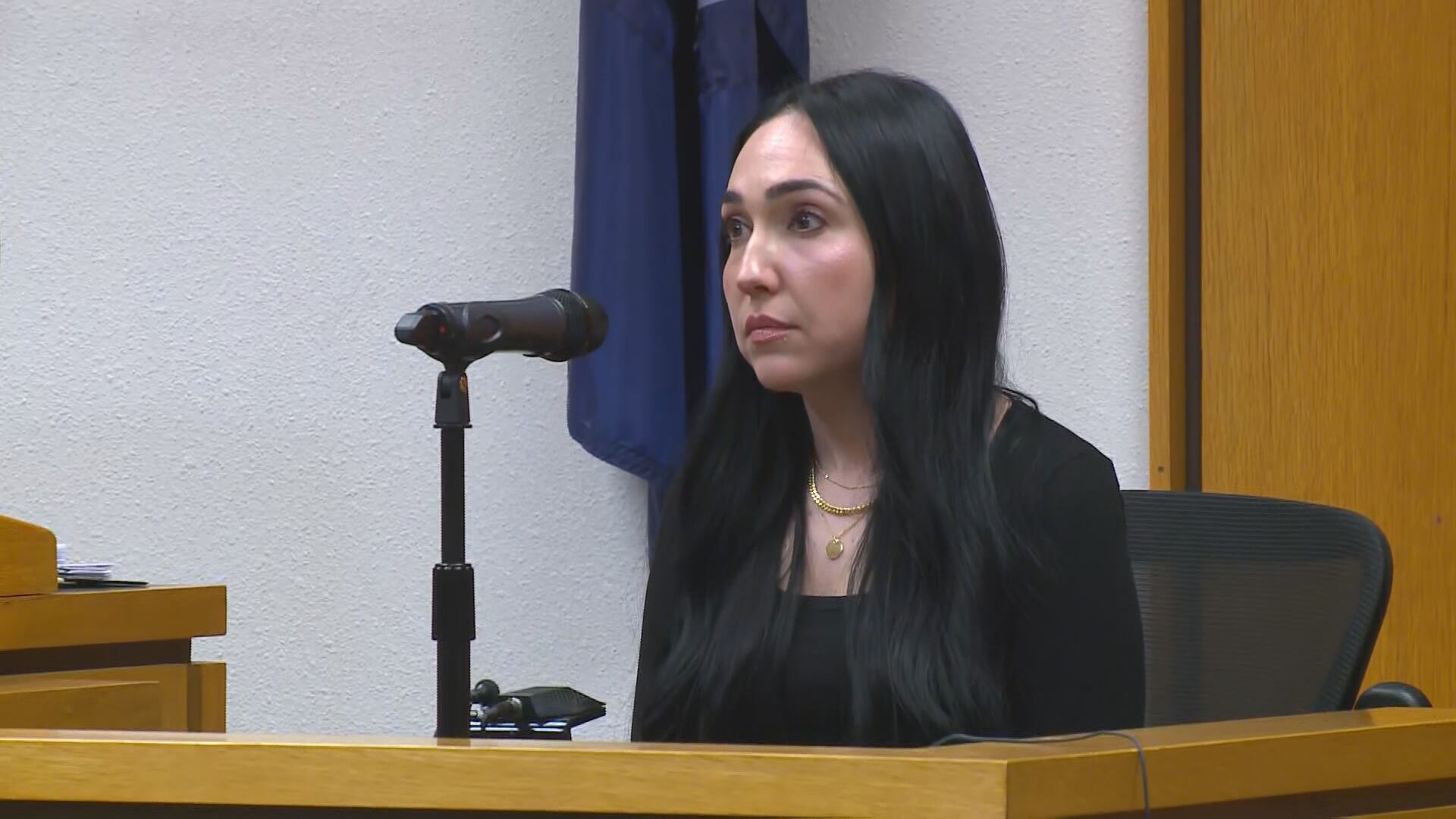 Warner murder trial day 12: Prosecution, defense rest; Dee’s brother ...
