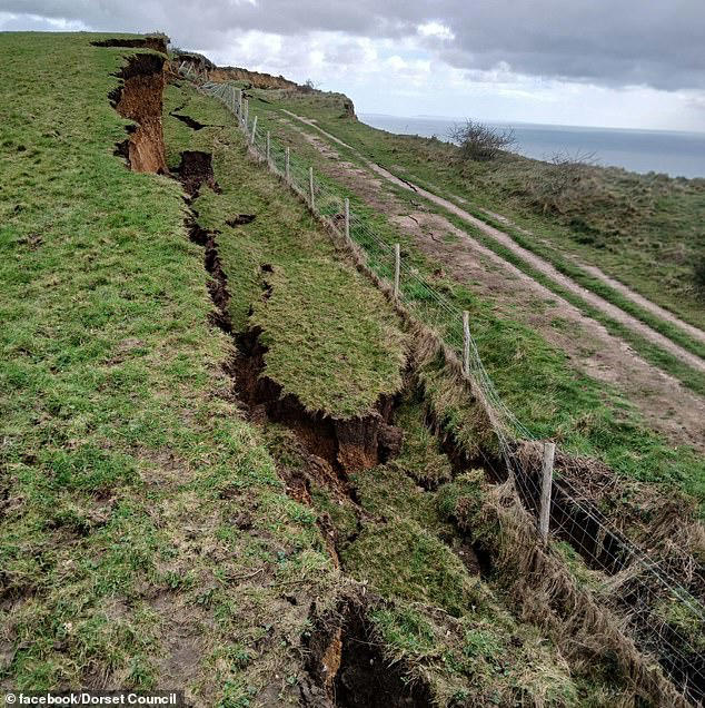 Thousands of tonnes of rock slump onto Dorset beach weeks after 300ft ...