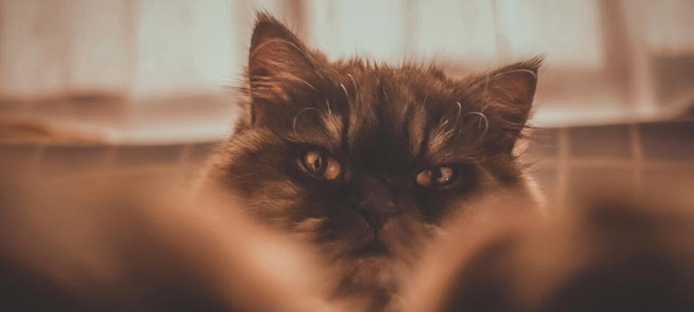 How to not be grumpy