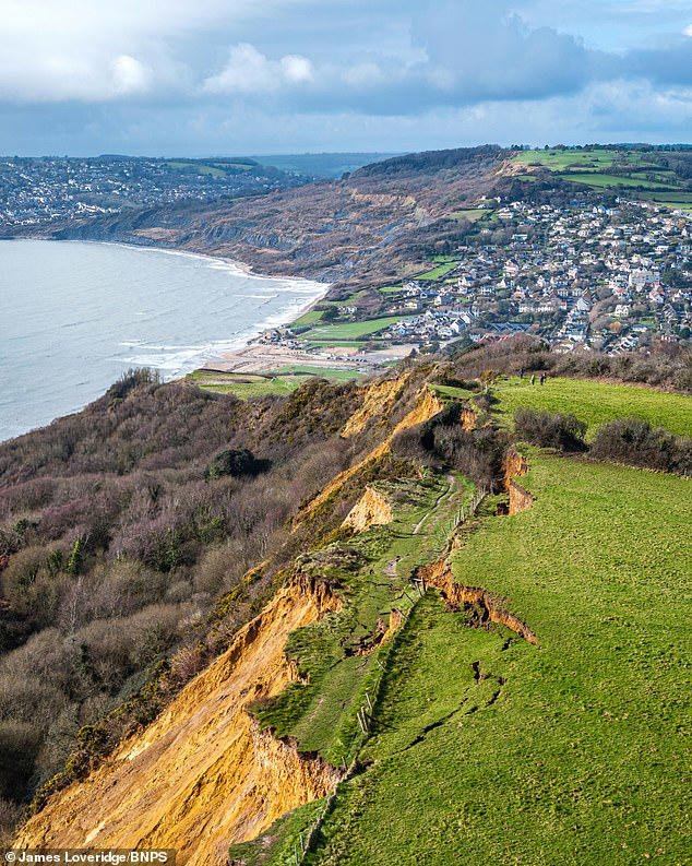 Thousands of tonnes of rock slump onto Dorset beach weeks after 300ft ...