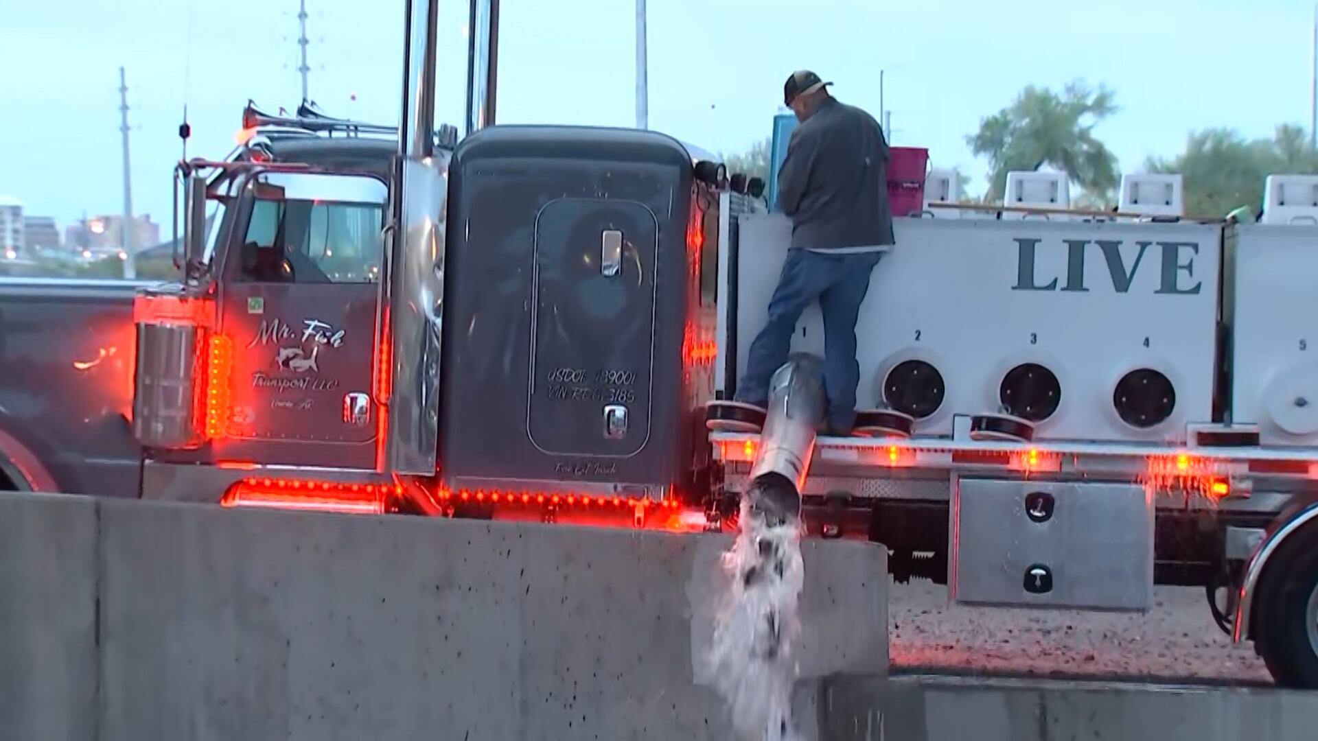 SRP releases thousands of fish to help reduce vegetation in Phoenix ...