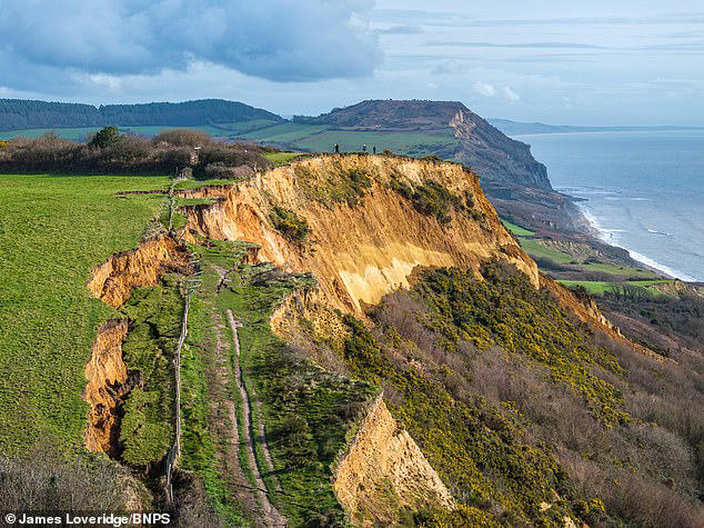 Thousands of tonnes of rock slump onto Dorset beach weeks after 300ft ...