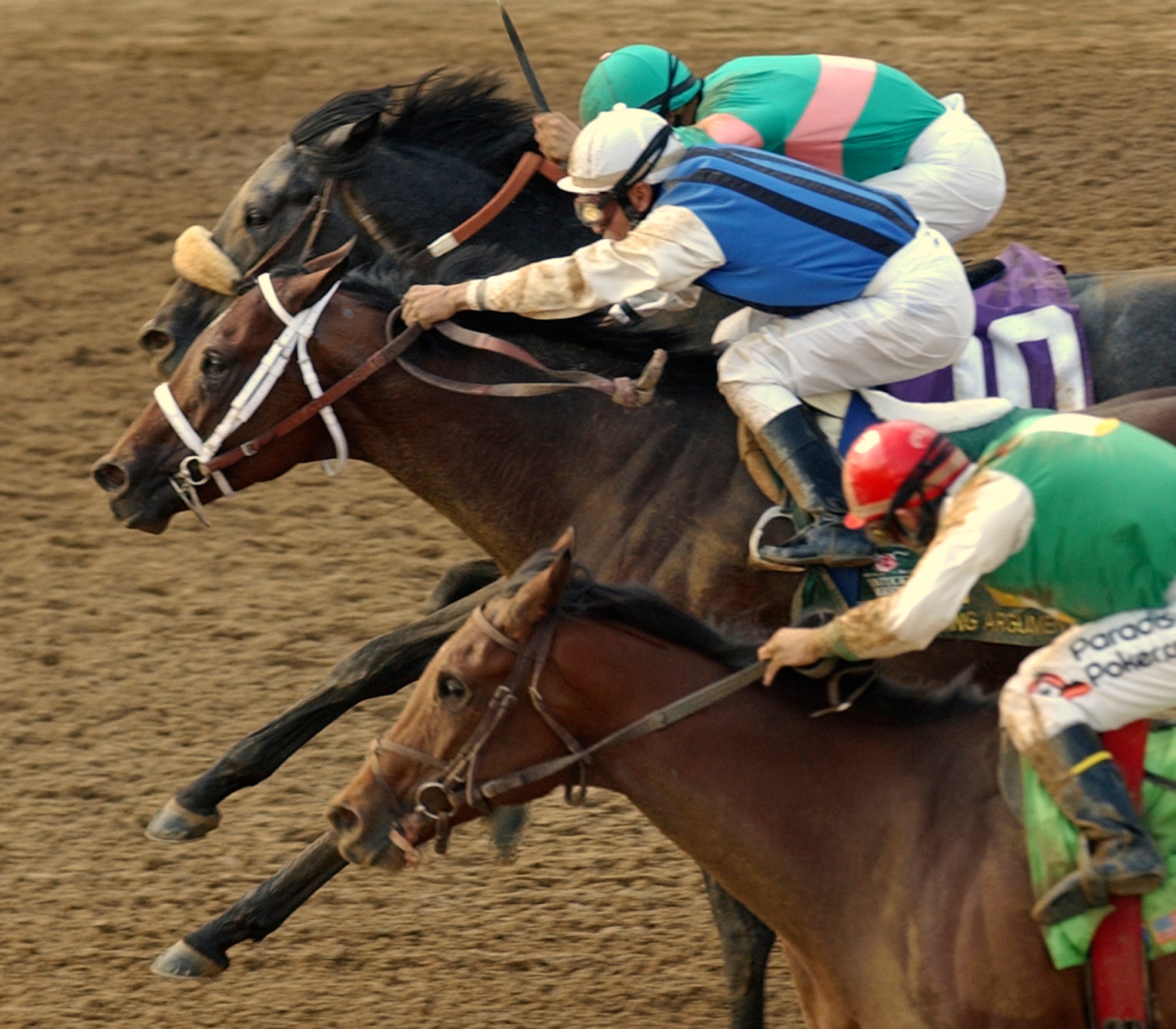 Afleet Alex, champion racehorse that inspired donations for childhood ...