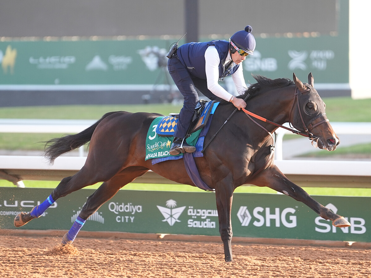 【競馬予想】サウジカップに臨む絶対王者フォーエバーヤングを脅かす存在はいるか？ 気になる人気薄2頭