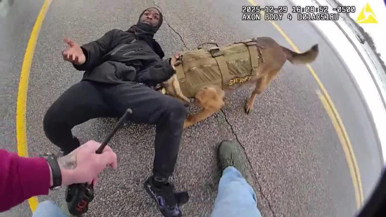 Watch: Body camera video shows sheriff K-9 'arrest' alleged robber