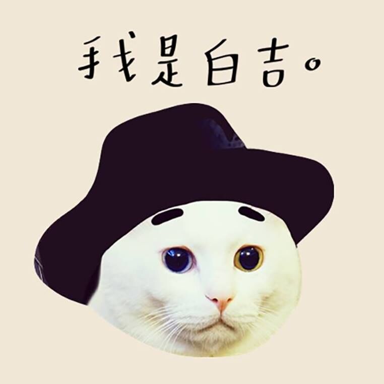 「白吉」過世! 吉媽淚喊：今天要送走吉吉了 19萬粉絲心碎