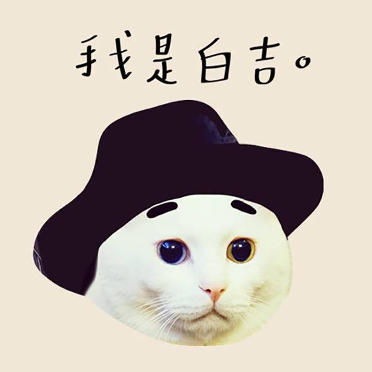 「白吉」過世! 吉媽淚喊：今天要送走吉吉了 19萬粉絲心碎