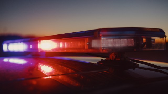 Authorities make shocking discovery in sting operation — here