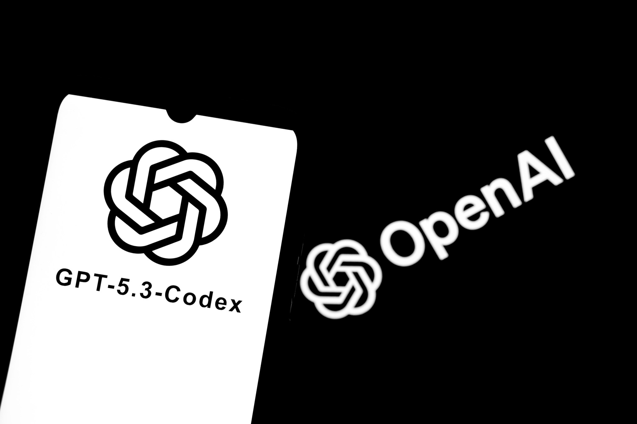 OpenAI’s Codex and Anthropic’s Claude spark coding revolution as ...