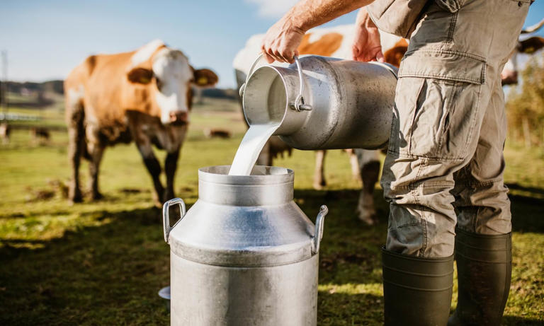 Middle class foodies are hustling at farms to get their mitts on trendy ...