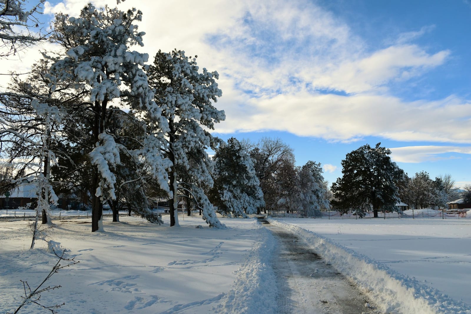 Weather winter storm warning: 125 million under alert as 1,500-mile ...