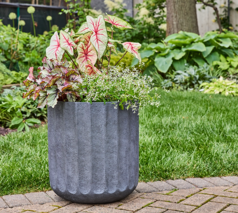 7 best new Walmart patio & garden finds hitting shelves this week
