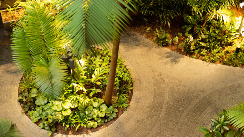 How biophilic lighting can change your garden into a wonderland