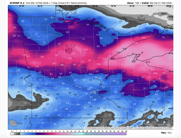 Wide range of snow possibilities in Minnesota as series of storms head ...