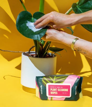 AA1WlXIs 65 Amazingly Affordable Must-Haves