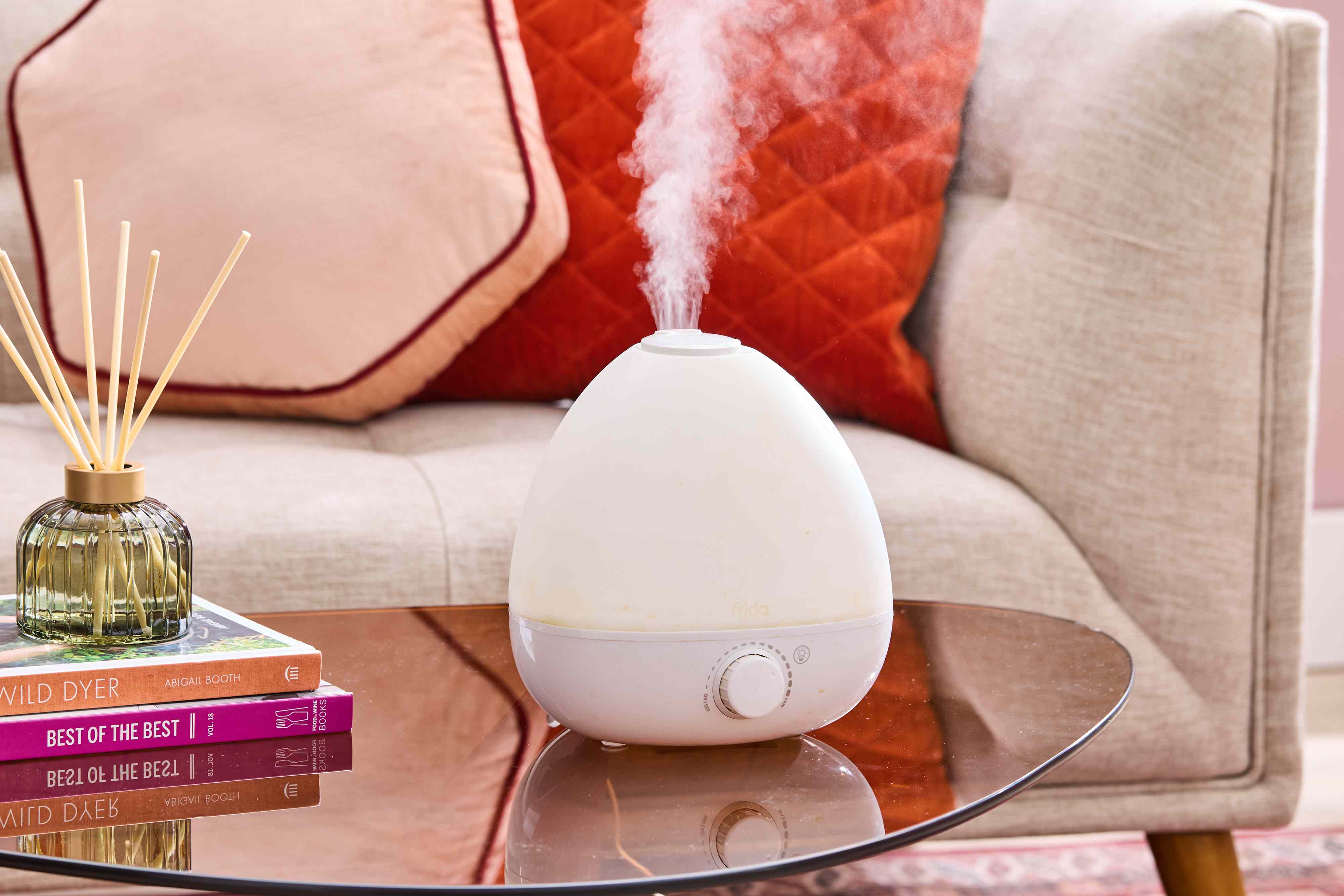 3 surprising household items you can use to clean a humidifier