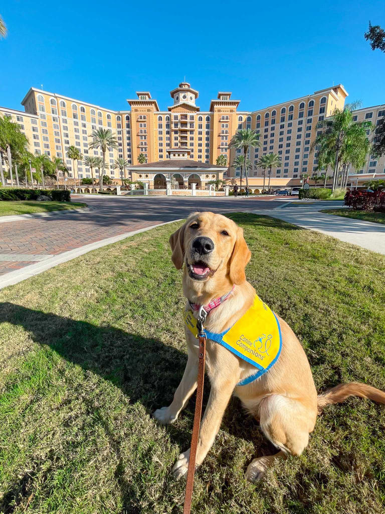 Canine Companions honors legacy of Harris Rosen with service dog in ...
