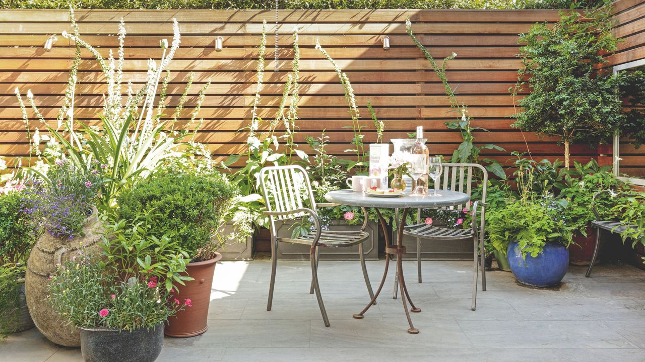 IKEA's pretty plant shelf has transformed my small concrete garden