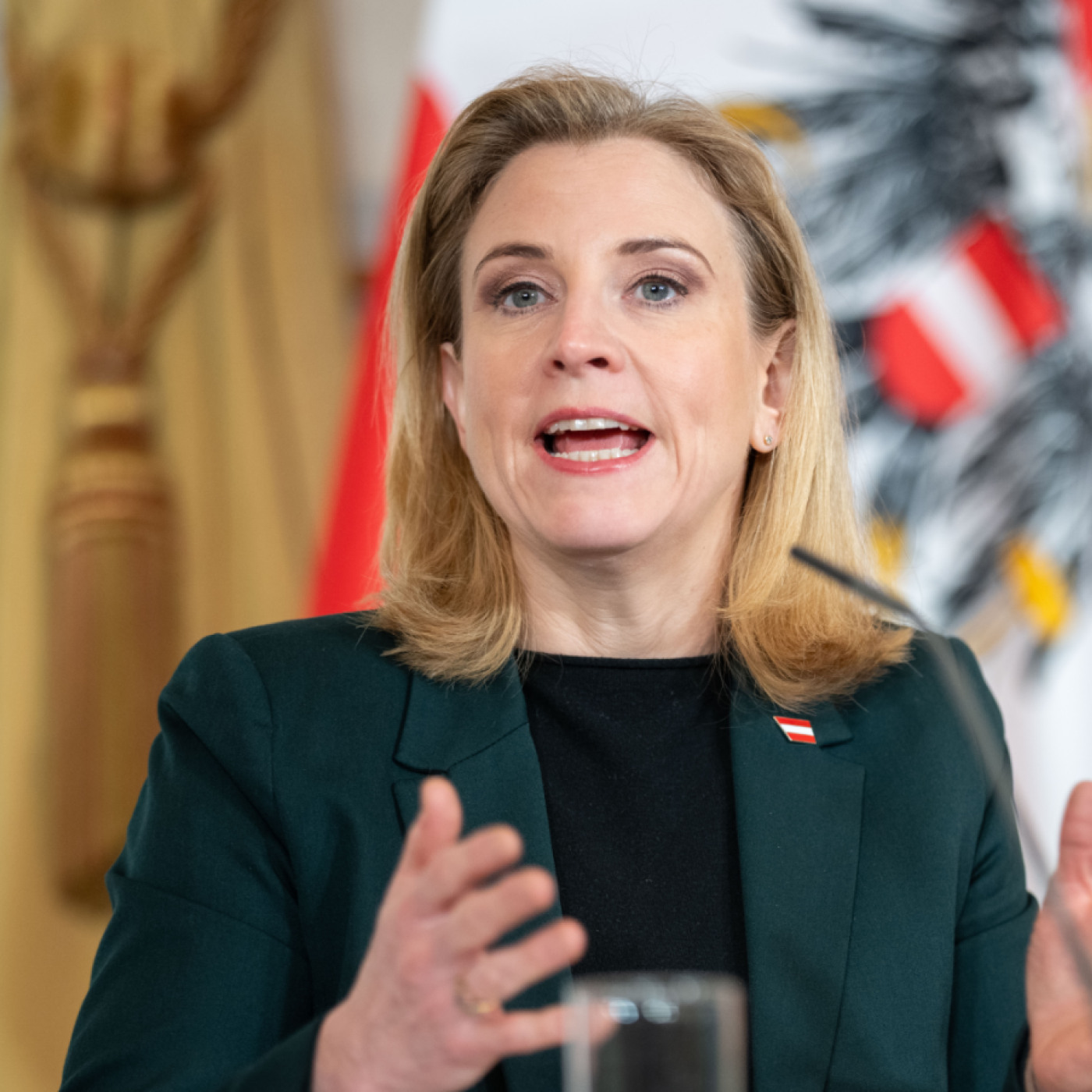 Meinl-Reisinger kritisierte UNO-Nahost-Berichterstatterin