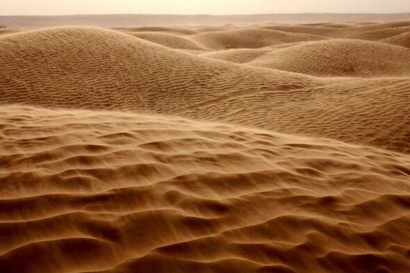 Tunisia, Sand dunes in the Sahara desert, Great Eastern Erg