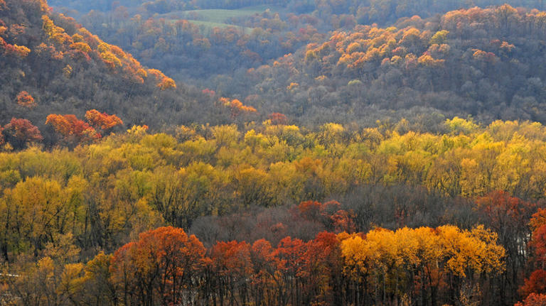 Iowa's beautiful county is full of camping spots in breathtaking ...