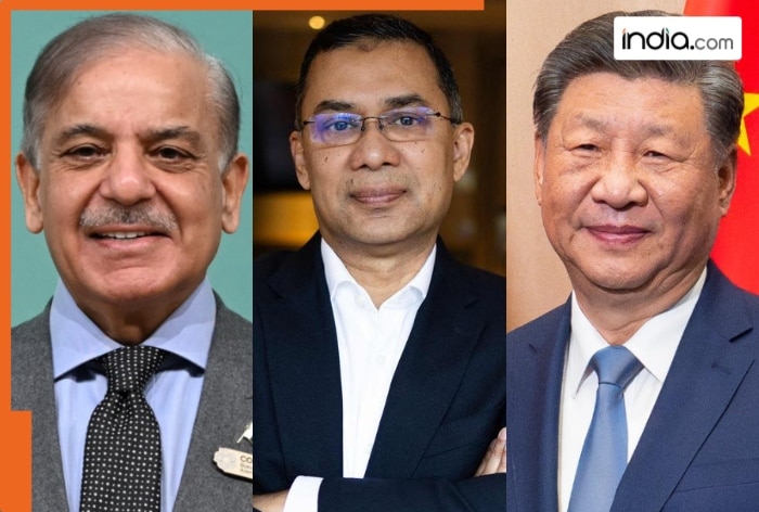 The BNP has made significant promises to China and Pakistan.