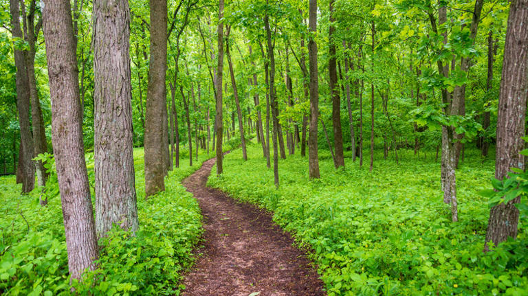 Iowa's beautiful county is full of camping spots in breathtaking ...
