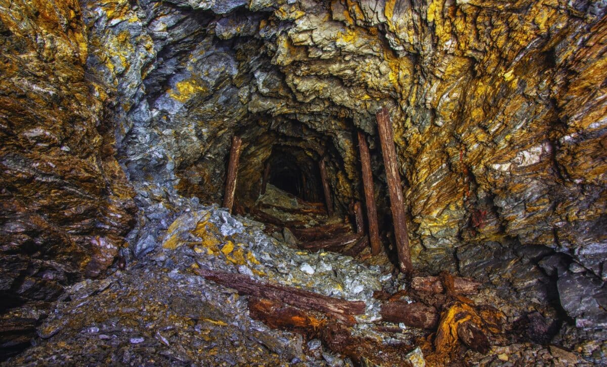 Ancient goldmine found beneath dense vegetation, revealing advanced ...