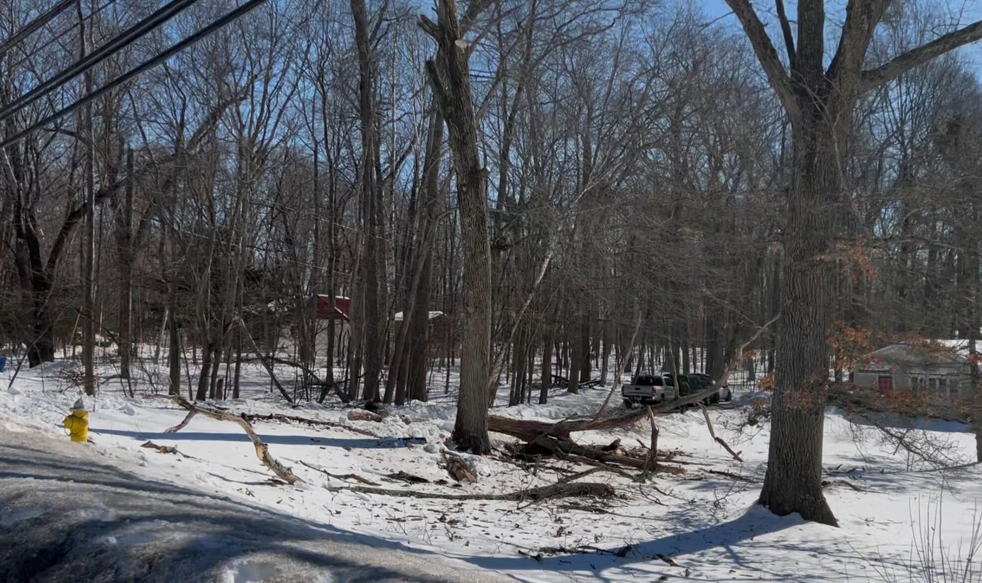 Person dies after possible fall from tree truck in Tolland
