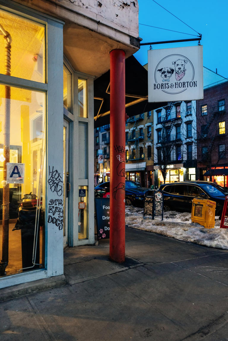 NYC canine cafe offers Valentine’s Day dates with dogs