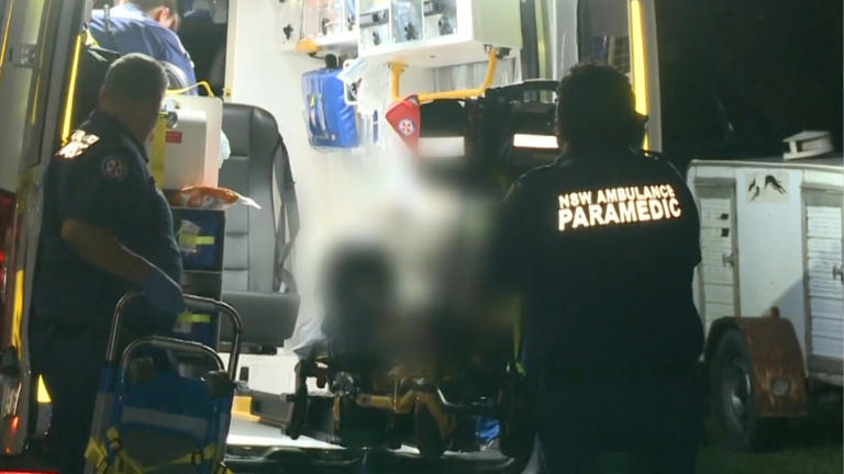Man dies after Sydney stabbing, after two other men rushed to hospital