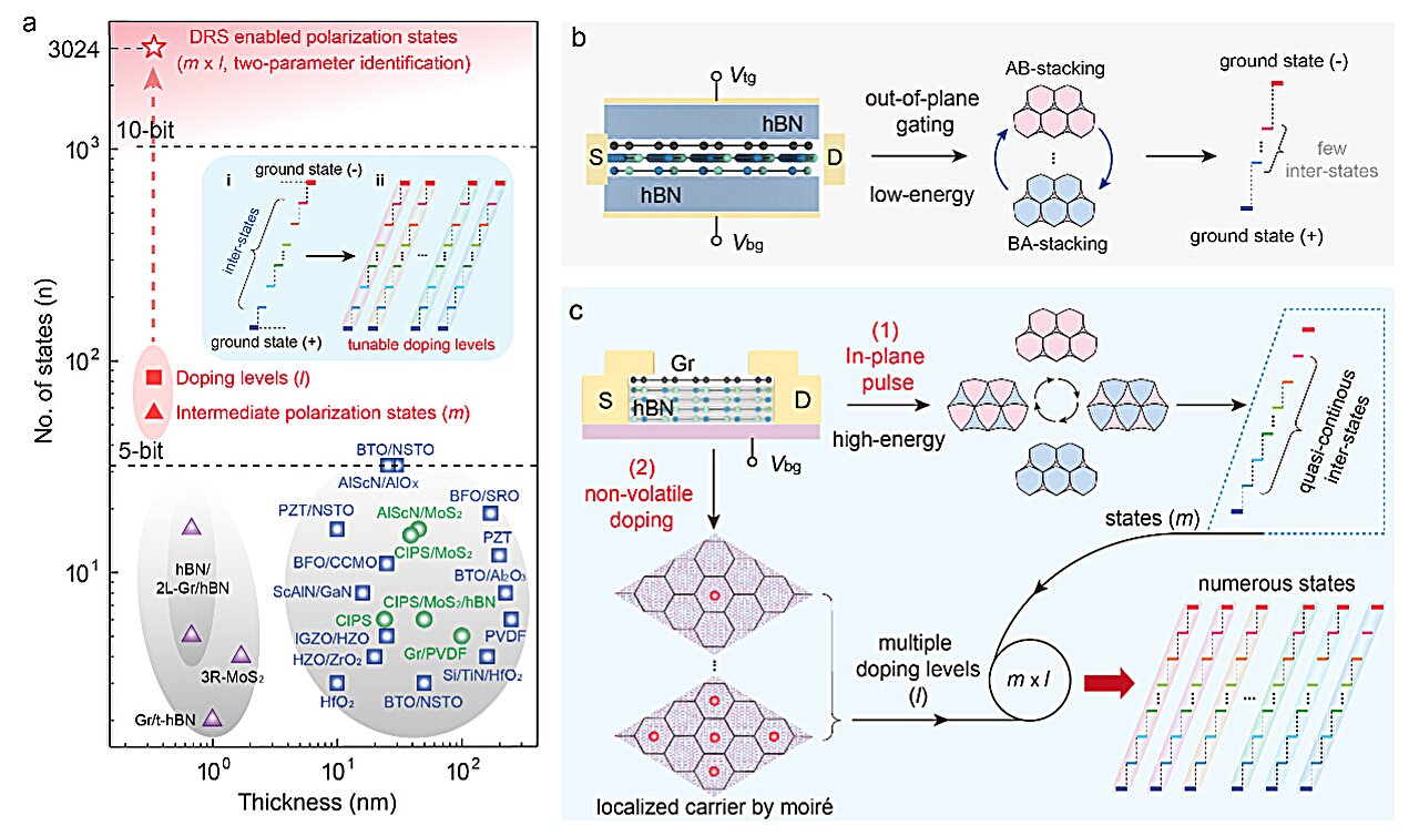 Atom-thin ferroelectric transistor can store 3,024 polarization states