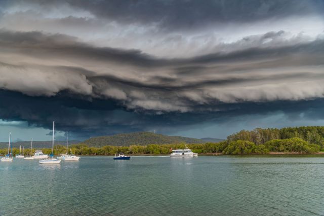 Experts issue urgent warning after series of shark attacks: 