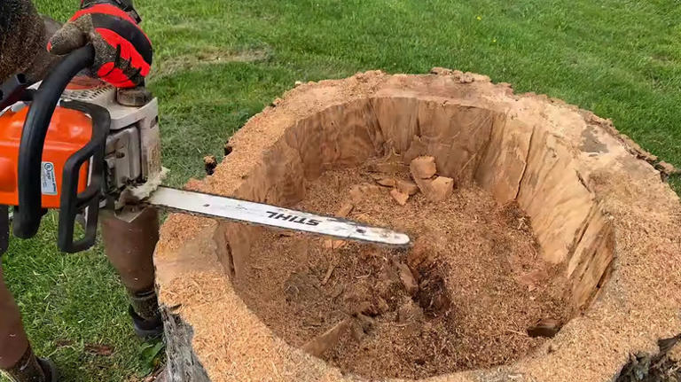 Hollowing out an old tree stump? Be sure to reach for these tools