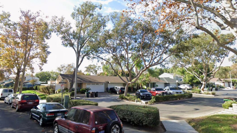 Woman found stabbed to death in Orange County home, estranged husband ...