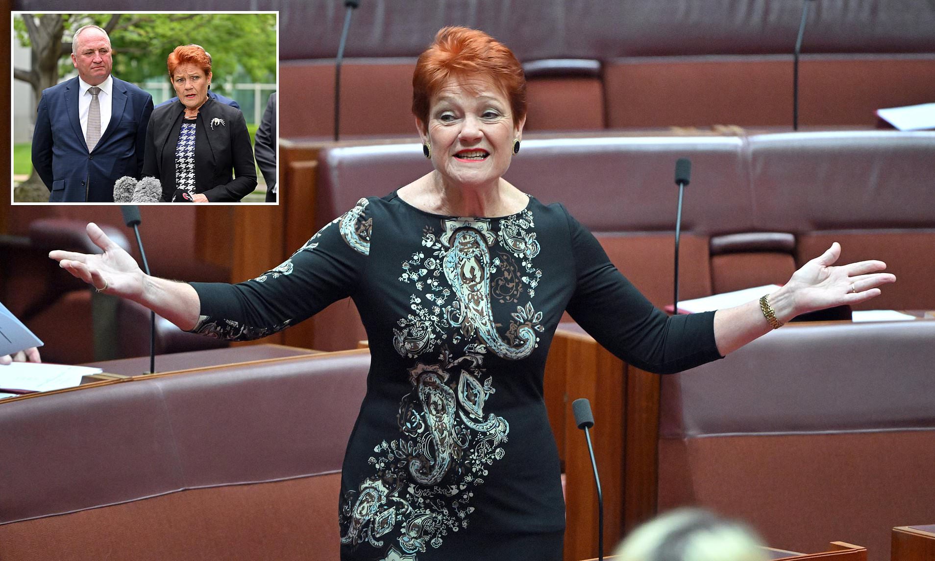 Shock poll reveals One Nation support surge in Labor stronghold state