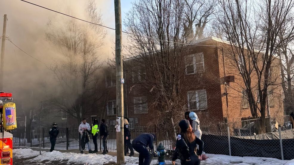 12 adults, 3 kids, & cat displaced after fire rips through apartment ...
