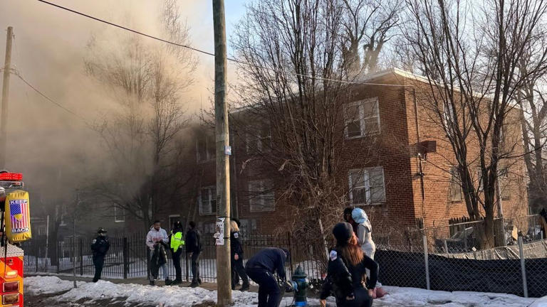 12 adults, 3 kids, & cat displaced after fire rips through apartment ...