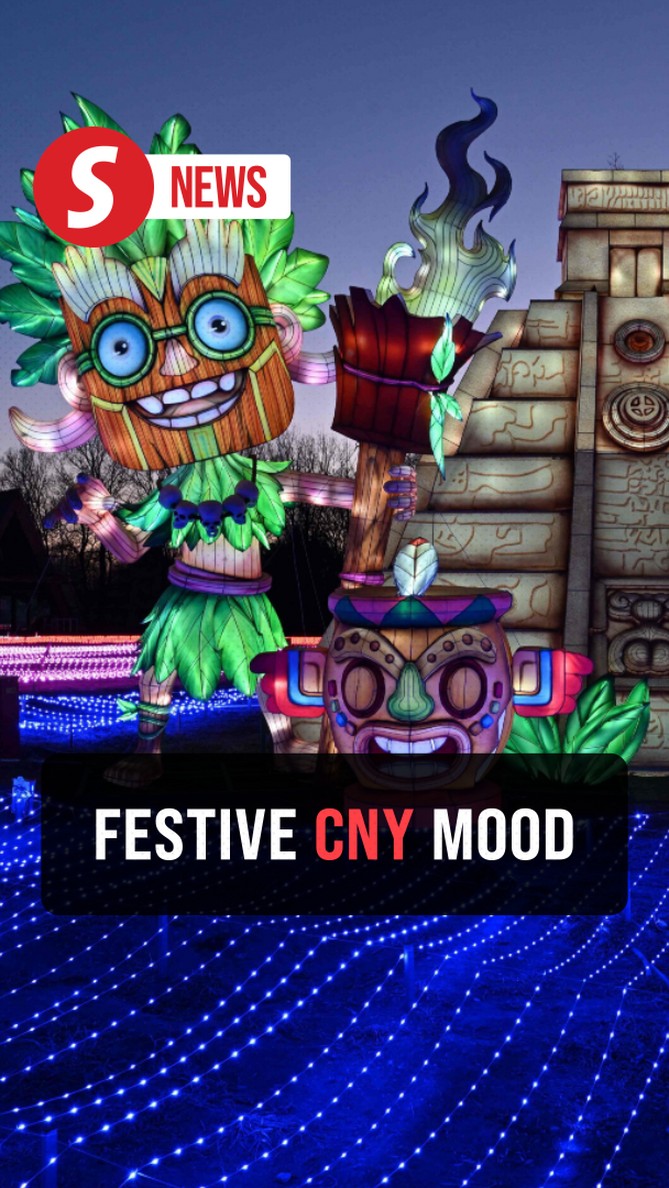Folk lantern shows greet Spring Festival in China