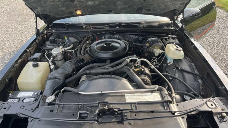 1983-1988 Chevrolet Monte Carlo SS: Budget performance coupe