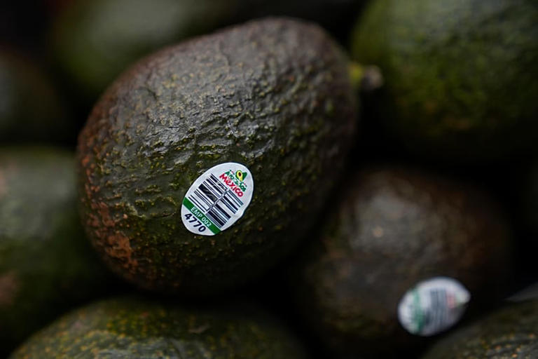 Aguacates Copyright 2026 The Associated Press. All rights reserved.