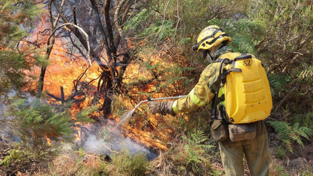 Así es el operativo contra incendios de Castilla y León para 2026: casi ...