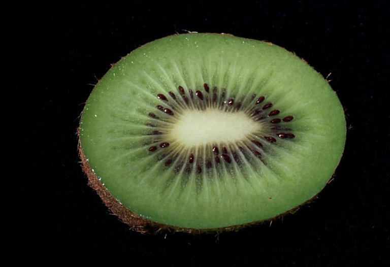 Kiwi, imagen de archivo Copyright 1988 AP. All rights reserved.