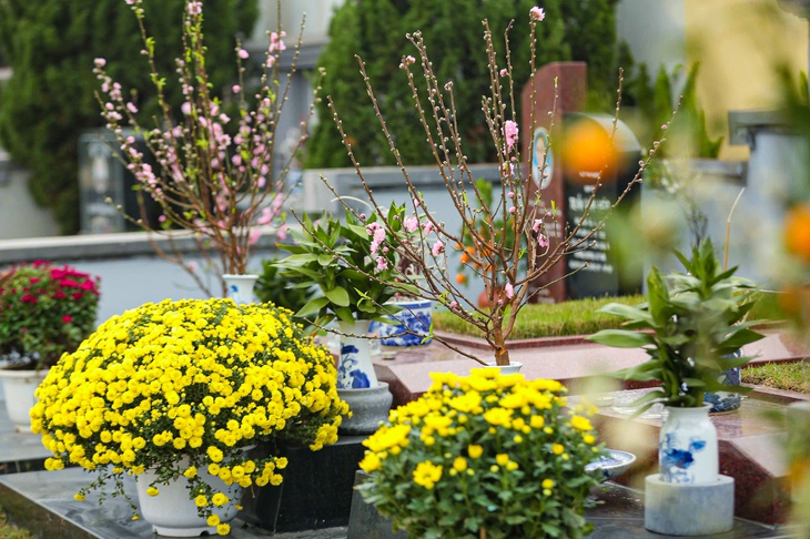 Quê hương, nguồn cội và ba...