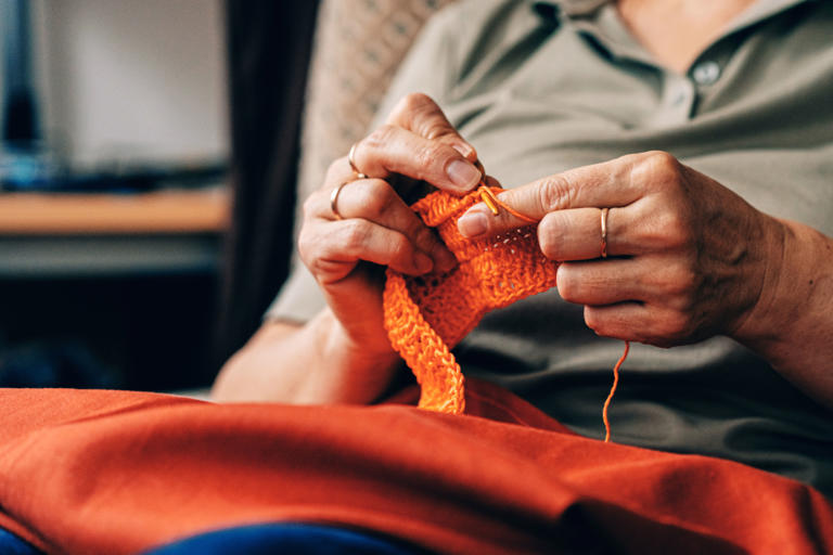 People are sharing the hobbies that genuinely made their lives better ...