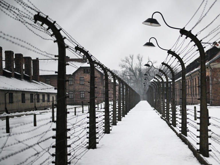 Canadian military apologizes after post leaves Jews out of Holocaust ...