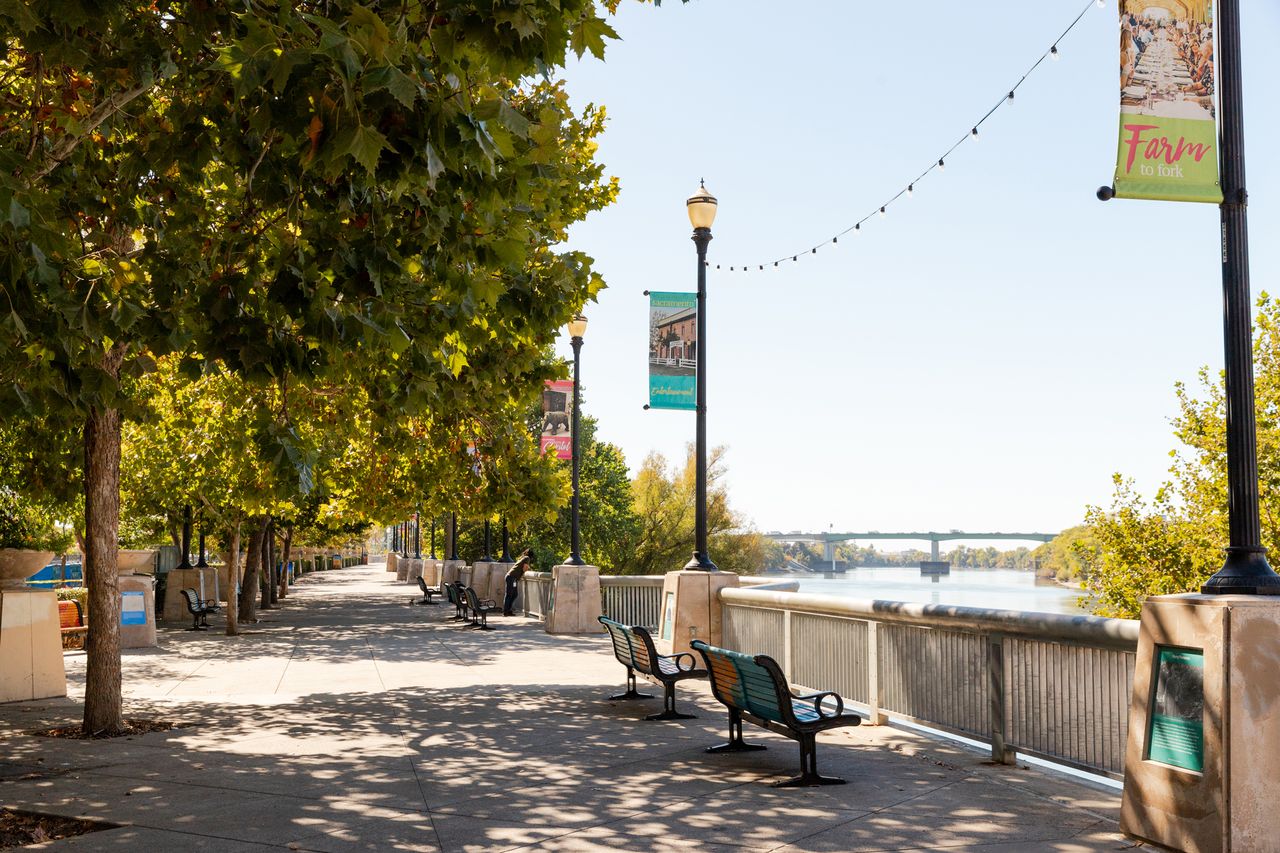 A walkway lined with trees and benches banners hanging from streetlights near a river