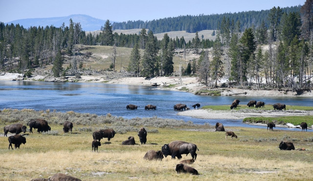14 US parks on Fodor’s no list 2026