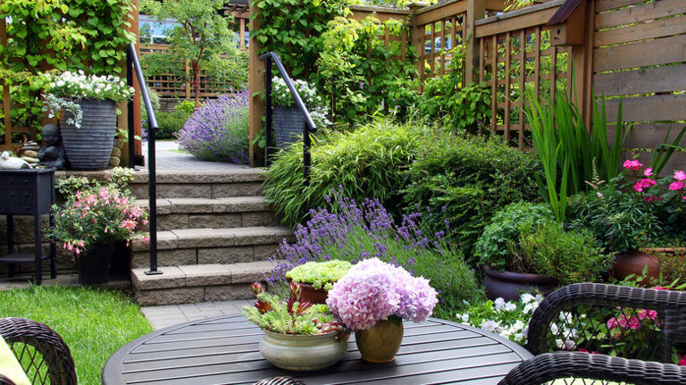 Turn empty soup cans into adorable garden decor you'll love
