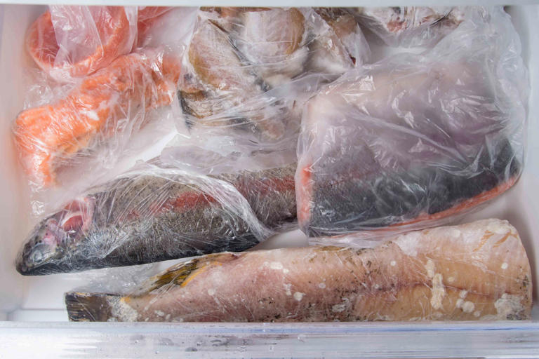 How long can fish stay in the freezer before it goes bad?